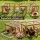 i.Pet Large Outdoor Chicken Coop and Rabbit Run 240cm Brown with Galvanised Mesh Play Area and Secure Locks