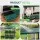 i.Pet Six Hole Chicken Nesting Box Roll Away Collection Wall Mounted Green Galvanised Metal