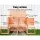 i.Pet Eco-Friendly Wooden Chicken Coop & Rabbit Hutch - 88cm x 40cm x 76cm, Waterproof, Anti-Termite, Secure Locks