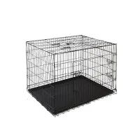 i.Pet 42