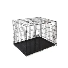 i.Pet 42