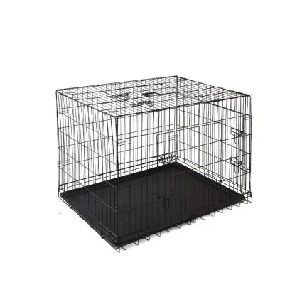 i.Pet 42