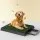 i.Pet Training Tray: Large Dog Potty with Grass Mat, Odourless, Non-Toxic, Easy Clean, 64x52cm, Indoor/Outdoor Use