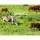 Giantz 2000M Electric Fence Poly Wire - Red & White, 2.3mm, 9 Stainless Steel Strands, UV Treated, High Visibility
