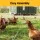 i.Pet 25 m x 1.2 m Welded Wire Mesh Roll 12.7 mm Grid 0.6 mm Wire Rust Resistant Poultry Fence Netting