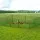i.Pet Electric Chicken Fence - 25m x 125cm UV-Resistant Poultry Netting w/ Accessories & Door, Multipurpose Use