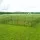 i.Pet Electric Chicken Fence 50Mx125CM - UV-Resistant, Heavy-Duty Poultry Netting with Electrified Wires & Accessories