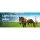 Giantz 3KM Solar Fence Energiser 0.1J, Monocrystalline Panel, Waterproof, 15-20 Day Charge, Safe Livestock Control