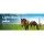 Giantz 8KM Solar Powered Electric Fence Energiser with 2KM Poly Wire, Monocrystalline Panel, Waterproof, 0.3J Discharge
