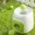i.Pet 2-in-1 Dog Ball Launcher and Treat Dispenser with 2 Tennis Balls Manual Spring Lightweight Durable