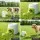 i.Pet 2-in-1 Dog Ball Launcher and Treat Dispenser with 2 Tennis Balls Manual Spring Lightweight Durable