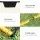 Everfit 2.1m Portable Soccer Rebounder Net - Durable Steel Frame & PE Mesh, Quick Setup, Yellow,