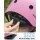 Outdoor Master Youth Kids Bike Helmet Medium Multi-Sports Adjustable Removable Liners Dinoverse Madness
