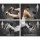 Everfit 10-in-1 Multi-Functional Weight Bench, Steel Frame, 330kg Capacity, Adjustable Home Gym Station, Black