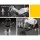 Everfit 8-in-1 Adjustable Weight Bench, Steel Frame, 200kg Capacity, Incline Levels, Home Gym Workout Station