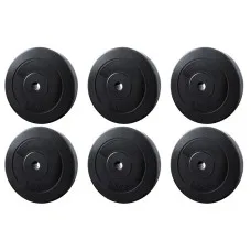 Everfit 60kg Barbell Weight Plates Set, Rubber Coated Cast Cement, 31mm Standard Home Gym Strength Training