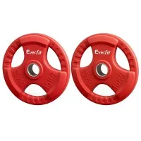 Everfit 15kg Weight Plates Pair – Red Rubber Coated Cast Iron, Triple Grip, 50.6mm Hole, for Home Gym, Barbell, Dumbbell