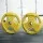 Everfit 20kg Weight Plates Pair Cast Iron Rubber Coated Triple Grip 50.6mm Barbell Dumbbell Yellow Home Gym