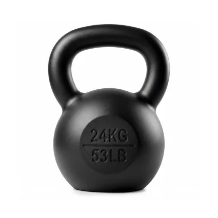 Everfit 24kg Cast Iron Kettlebell Flat Bottom Powder Coated Black