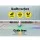 Everfit 4x1m Inflatable Air Track Mat for Gymnastics Yoga Martial Arts, 1000-Denier Fabric, Portable with Repair Kit