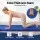 Everfit 181 x 61 x 5cm Folding Gymnastics Mat Portable 3‑Fold Tumbling Mat Blue for Home Fitness Pilates
