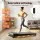 Everfit 3-in-1 Walking Pad Treadmill 40cm Belt 20% Auto Incline 3.0HP Black Pink Silver White