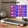 Everfit Electric Walking Pad Treadmill with Incline, Under Desk, 400mm Wide Belt, White, Bluetooth App, No Assembly