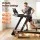 Everfit 500mm Wide Belt Foldable Treadmill 5.0HP Motor 1-24km/h 30% Auto Incline 130x50cm Deck RGB LED APP