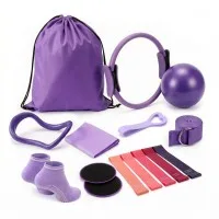 Everfit 15‑Piece Pilates Ring Set for Women Home Workout Kit with Ball Bands Strap Socks Carry Bag Purple Everfit 15‑Piece Pilates Ring Set for Women Home Workout Kit with Ball Bands Strap Socks Carry Bag Purple