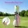Everfit Holographic Lightweight Golf Stand Bag with Dual Backpack Straps Independent Club Divider Multiple Pockets