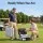 Everfit Golf Trunk Organiser with Ventilated Shoe Compartment Grey