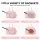 Everfit Tennis Tote Bag 35L Pink with Two-Racket Compartment and Ventilated Shoe Storage Pocket