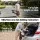 Foldable Electric Scooter 180W 18 km/h Adjustable Height LED Deck Lights Lightweight Aluminium Commuter
