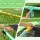 Bestway 8ft Xtreme Air Trampoline 2.44m Safety Enclosure Foam Poles 48 Springs Powder Coated Frame 80kg