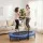Everfit 56-Inch Foldable Fitness Trampoline Rebounder with Adjustable Handrail Black and Blue