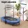 Everfit 56-Inch Foldable Fitness Trampoline Rebounder with Adjustable Handrail Black and Blue