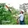 Giantz 20V Cordless Pole Chainsaw, 8