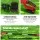 Giantz 20V Cordless Pole Chainsaw, 8