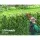 Giantz 20V Cordless Pole Chainsaw, 8in Bar, 2.7m Reach, Auto Lubrication, Lightweight Aluminium Shaft, Battery Included