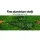Giantz 20V Cordless Pole Chainsaw, 8in Bar, 2.7m Reach, Auto Lubrication, Lightweight Aluminium Shaft, Battery Included