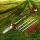 Giantz 40CC 4-Stroke Pole Chainsaw Hedge Trimmer, 12