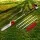 Giantz 62CC 2-in-1 Pole Chainsaw Hedge Trimmer, 4.3m Reach, 12in Bar, Anti-Vibration, Petrol Engine,