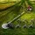 Giantz 62CC Pro-Series 7-in-1 Gardening Tool: Pole Saw, Brush Cutter, Whipper Snipper with Anti-Vibration & Safety Kit