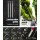 GIANTZ 65CC 9-in-1 Pole Chainsaw, Hedge Trimmer, Brush Cutter & Whipper Snipper with 4.3m Reach, 75cc