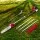 Giantz 65CC 2-in-1 Pole Chainsaw & Hedge Trimmer, 4.3m Long Reach, 12