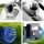 Giantz Garden Water Jet Pump with Automatic Controller 1100W 77L/min 45m Head Stainless Steel Irrigation