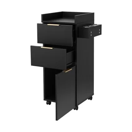 Artiss Professional Salon Station Rolling Cart with 2 Drawers and Cabinet 360° Wheels Black